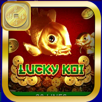 LUCKY KOI